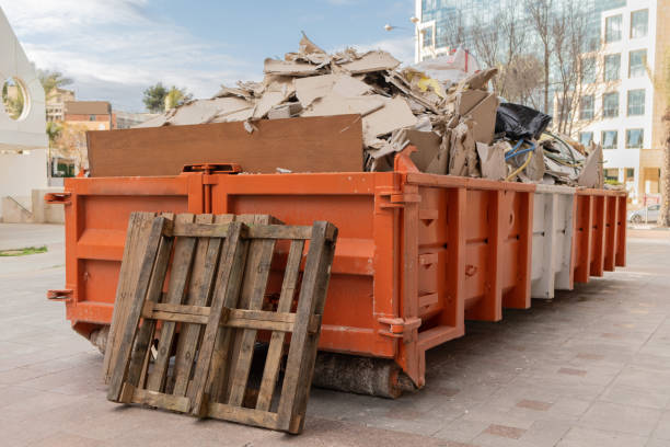 Best Electronics Removal Services  in Richmond, MN